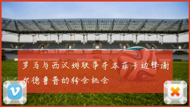 罗马与西汉姆联争夺本菲卡边锋谢尔德鲁普的转会机会