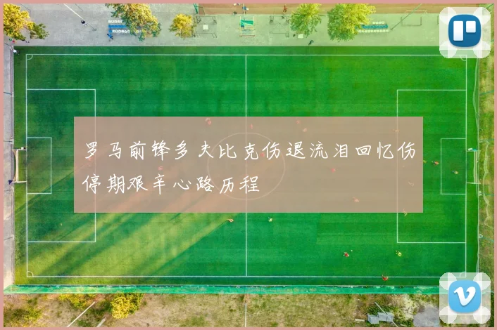 罗马前锋多夫比克伤退流泪回忆伤停期艰辛心路历程